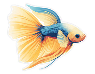 Fototapeta premium Colorful Siamese Fighting Fish with Long Flowing Fins