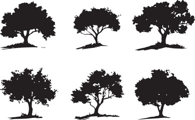 Set Trees. Hand drawn vector illustration	