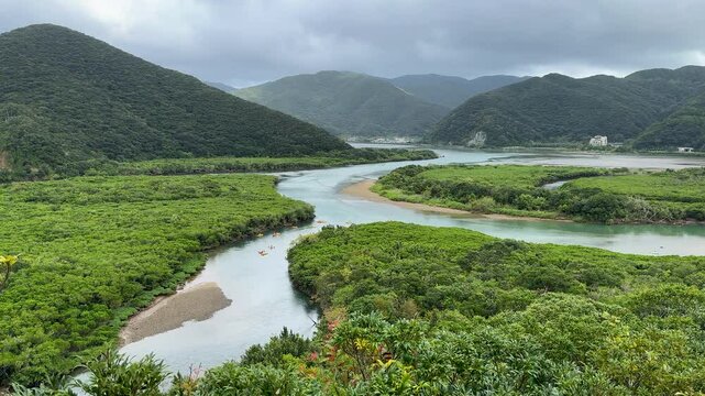 aerial view of mangrove forest with canoes
