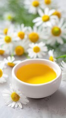 Closeup of chamomile extract with fresh blooms.