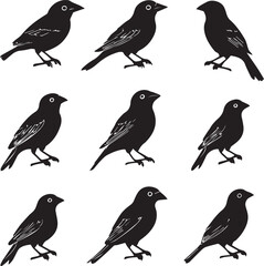 Nine Black Birds Silhouettes Vector Illustration: Graphic Art of Songbirds Perched, Ornithology Design Element, Wildlife Clip Art for Print and Web