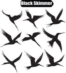 Black Skimmer Bird Silhouettes: Vector Illustration of Seabirds in Flight, Wildlife Art, Birdwatching Graphic, Ornithology Design Element