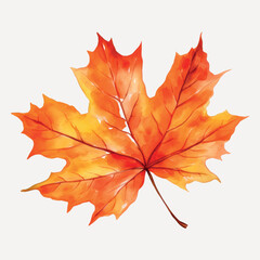 Vibrant autumn maple leaf illustration