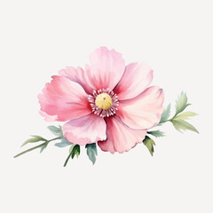 Delicate watercolor pink flower