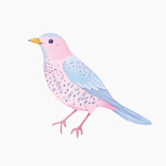 Pastel bird illustration art