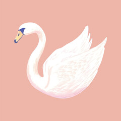 Elegant swan illustration on pink