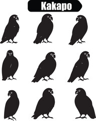 Naklejka premium Kakapo Parrot Silhouette Vector Illustration: Endangered New Zealand Bird Graphic, Wildlife Conservation Art, Black and White Design, Bird Icon Set