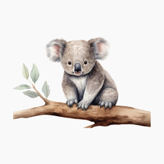 Adorable koala on tree branch
