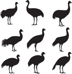 Obraz premium Rhea Versatile Black Silhouette Vector Series