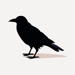 Silhouette of a standing crow