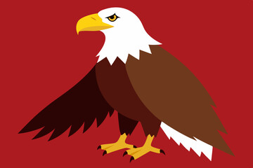 Bald Eagle vector art and illustration
