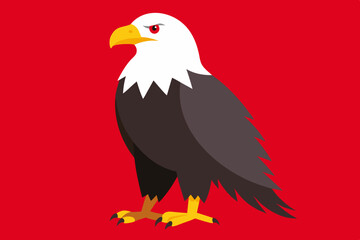Bald Eagle vector art and illustration