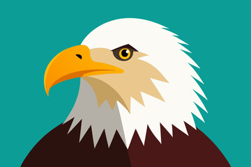 Bald Eagle vector art and illustration
