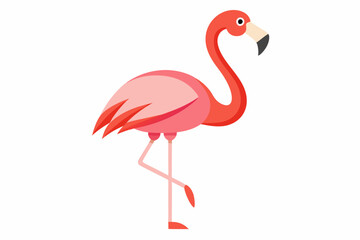 Flamingo Bird vector art and illustration