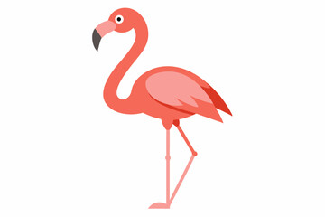 Flamingo Bird vector art and illustration