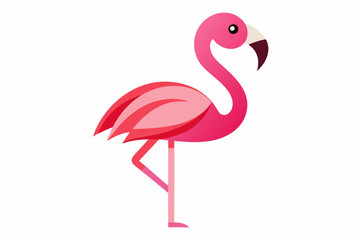 Flamingo Bird vector art and illustration
