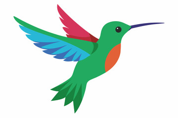 Humming bird vector art and illustration