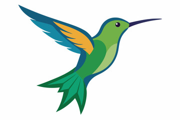 Humming bird vector art and illustration
