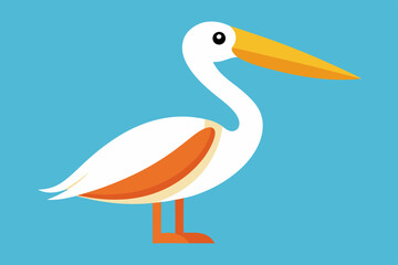  Pelican Bird vector art and illustration