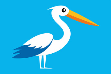  Pelican Bird vector art and illustration