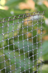 Garden fence with raindrops.
