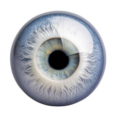 eye of the eye