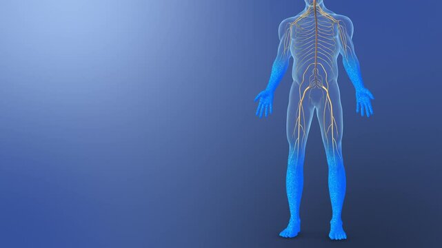 Peripheral Neuropathy with Sensory Nerve Damage and Tingling
