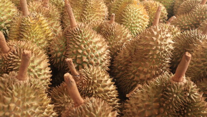 Durian fruit on display at a local roadside hawker stall