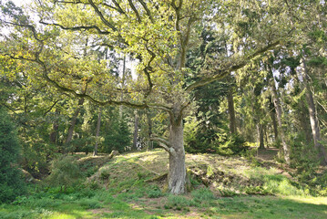 Pruhonice Park and Castle complex, National Cultural Monument and UNESCO World Heritage site, one of the most beautiful parks in Prague, Czech Republic