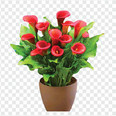 bouquet of roses in a pot