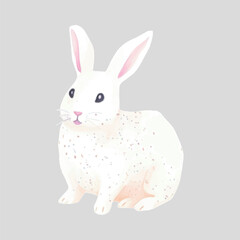 Cute white rabbit illustration
