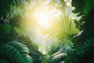 Sunlight through lush green leaves