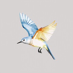 Obraz premium A blue and white bird flying through the air.