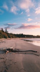 Obraz premium Wallpaper beach outdoors nature. made with generative Ai 