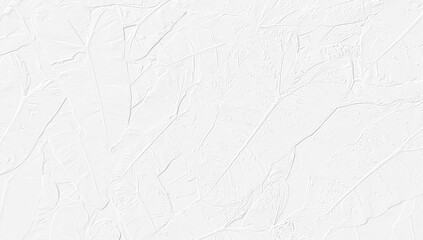 Obraz premium white paper texture