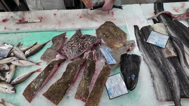 Video of fresh fish stalls at Setubal market in Portugal, showcasing a variety of seafood displayed on ice. 