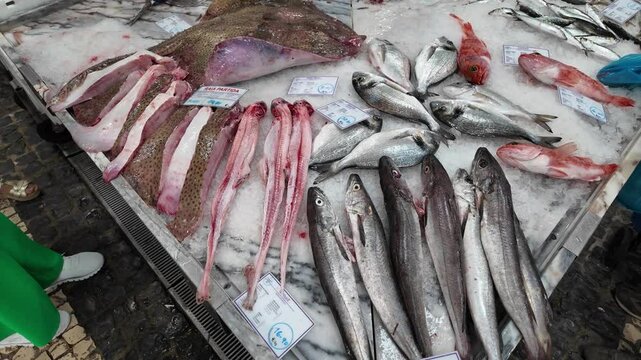 Video of fresh fish stalls at Setubal market in Portugal, showcasing a variety of seafood displayed on ice. 