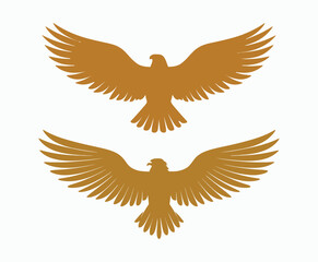 Golden eagle silhouette editable EPS vector isolated illustration template on a white background