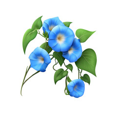 Fototapeta premium Blue Morning Glory Flowers with Green Leaves