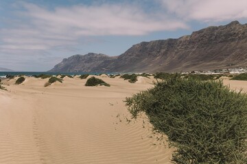 Vista de la playa de Famara y risco de fondo en la isla de Lanzarote 