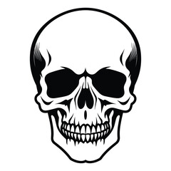 Skull silhouette vector