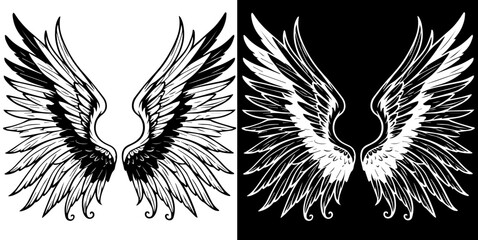 Obraz premium Angel wings, black and white