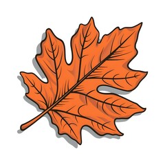 Obraz premium autumn maple leaf illustration