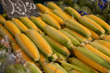 Ripe corn on the cob at a market stall Haagse Market in The Hague, Netherlands. Raw food, vegetable, harvest, merchandise.