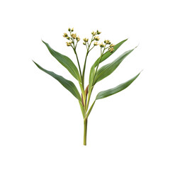 Obraz premium Green Plant with White Flowers