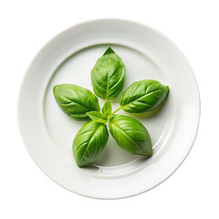 Fototapeta premium A top view basil leaves on white plate Isolated on transparent background.