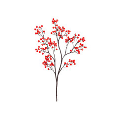 Fototapeta premium Red Berries on a Branch