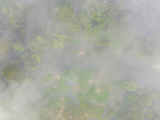 Tropical rainforest morning sunrise with fog through river nature landscape