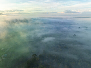 Tropical rainforest morning sunrise with fog through river nature landscape