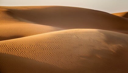 砂のテクスチャーsand texture